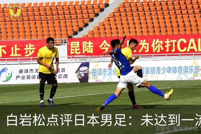白岩松点评日本男足：未达到一流强队标准，仍需克服对荷兰的恐惧